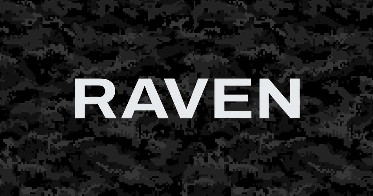 RAVEN Secure Networks